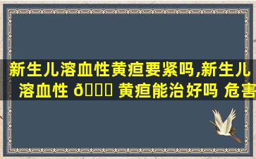 新生儿溶血性黄疸要紧吗,新生儿溶血性 🐛 黄疸能治好吗 危害有哪些